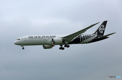 「曇り」 Air NZ' 787-9 ZK-NZH 到着