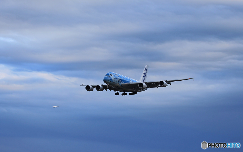 「空色」ANA Flying Honu A380-841着陸 