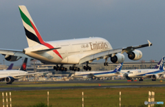 [青い空]　Emirates A380-861 A6-EDC 着陸