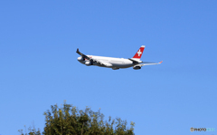 「あおぞら」Swiss A340-313 HB-JMC 離陸