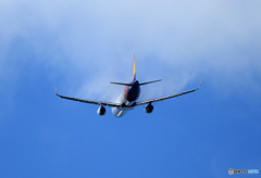 「晴れ」 ☮ A s i a n a  離 陸 ☮青空へ