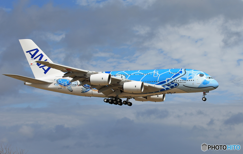 「晴れた」 Flying Honu A380-841[青] Landing