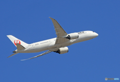 「青い空」が一番 JAL 787-8 JA838J 出発