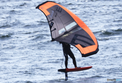 「青が好き」 とても良い風と...