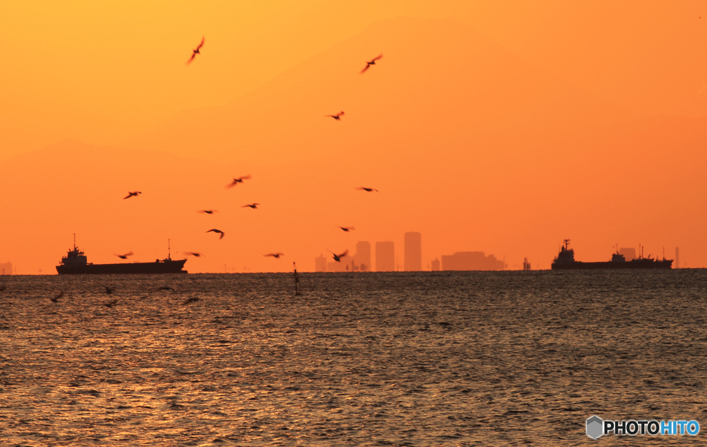 ☮ 東京湾の タンカーと夕焼け 風景 ☮