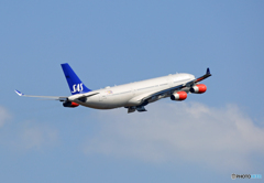 「ぶるー」 SAS A340-313 OY-KBI ☮Takeoff
