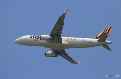 「青色が好き」tigerair A320-232 Takeoff 