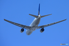 「Blue」 UNITED 777-222 N775UA 離陸します