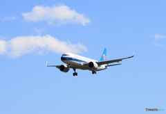 ☀「あおぞら」中国南方 A330-300 B-5959 Landing