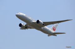 「そらー」 JAL 787-8 JA844J 飛ぶ