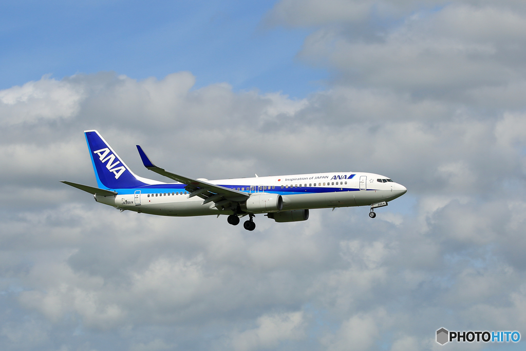 「そらー」 ANA 737-881 JA66AN 着陸します