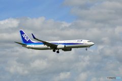 「そらー」 ANA 737-881 JA66AN 着陸します