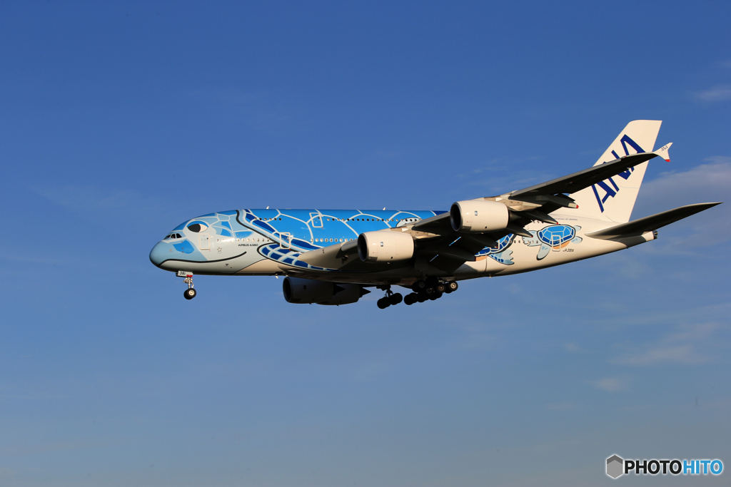 「あおぞら」 Flying Honu  A380-841 到着です