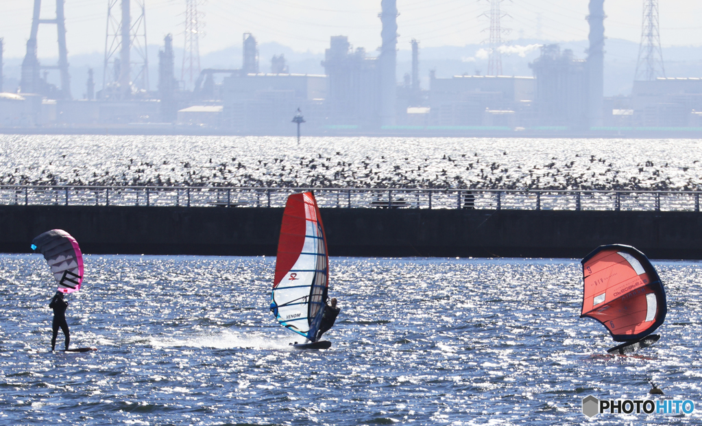 「東京湾」川鵜とのコラボ