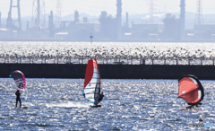 「東京湾」川鵜とのコラボ