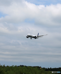 「曇り」UNITED 787-9 N17963  Landing