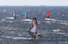 「クール」良い風とウインドサーフィン