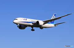 「青が大好き」ANA 787-8 JA828A 到着