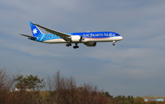 「群青色」 Air Tahiti Nui 787-9 F-OVAA 