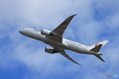  「晴れ」JAL 787-8 JA844J 出発です