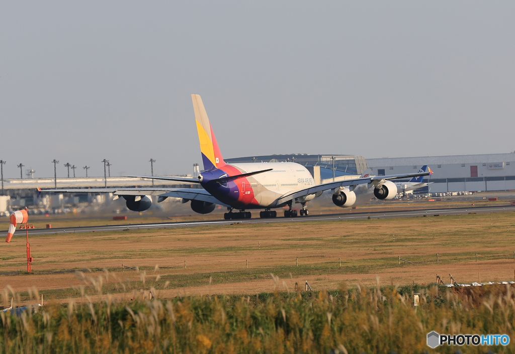 「そらー」 ASIANA A380-841 HL7625 飛行