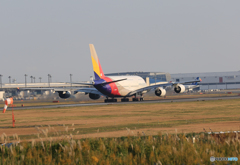 「そらー」 ASIANA A380-841 HL7625 飛行