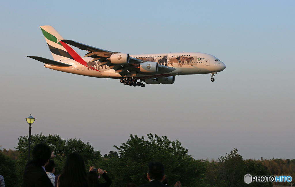 ✈「青い空」が一番 エミレーツ動物愛護機A380-861着陸します