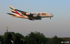 ✈「青い空」が一番 エミレーツ動物愛護機A380-861着陸します