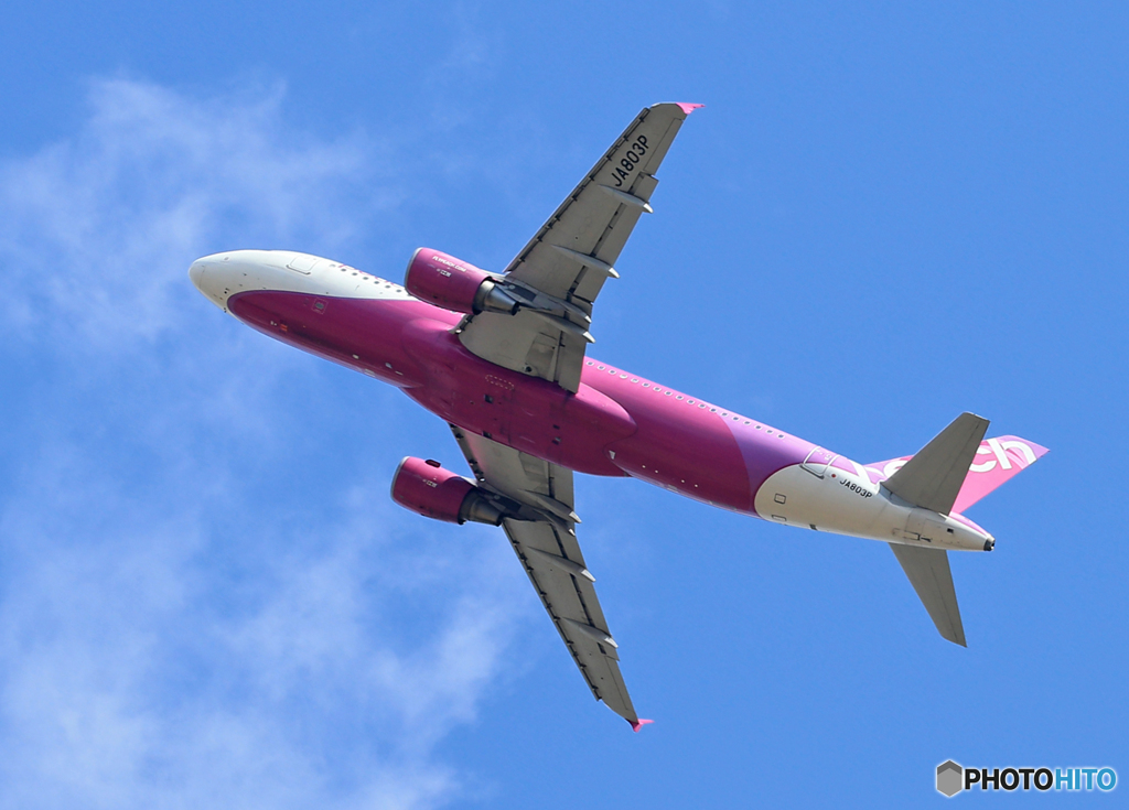 「すかい」 peach A320-214 JA803P 飛ぶ
