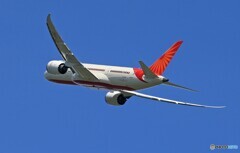 「良い天気」Air India 787-8 VT-ANZ Takeoff