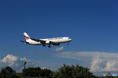 「晴れ」 JAL 767-300 JA607J Landing 
