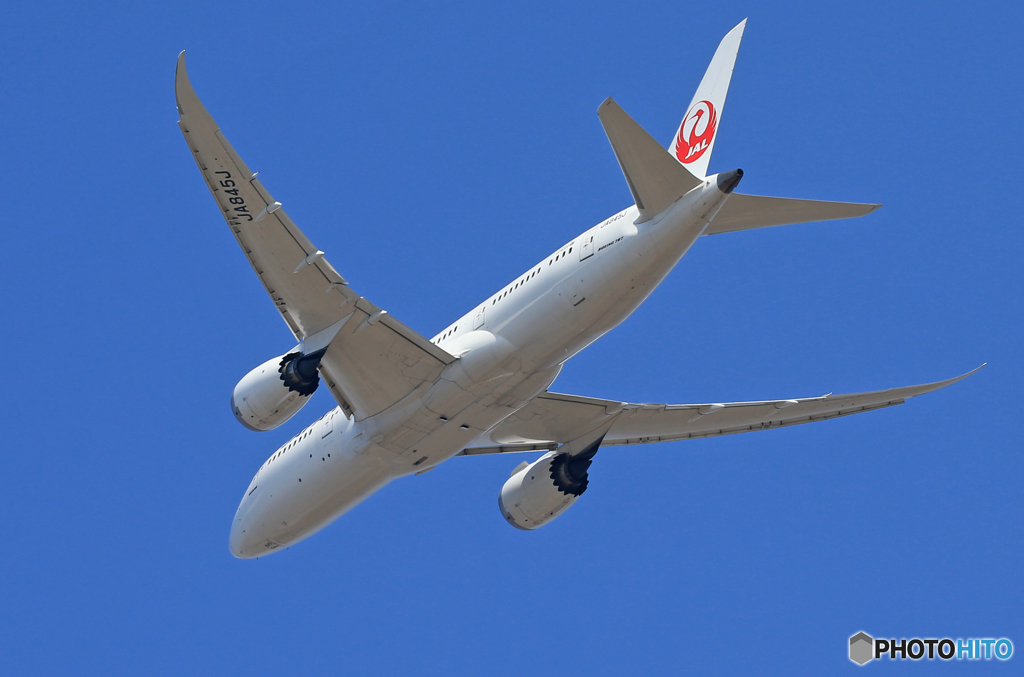 「青色」 JAL 787-8 JA845J Takeoff 