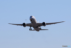 「青色」 JAL 787-9 JA869J+ Takeoff 
