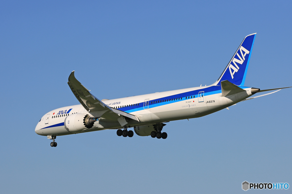 「青い空」が一番 ANA 787-8 JA837A 着陸