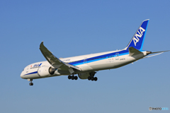 「青い空」が一番 ANA 787-8 JA837A 着陸