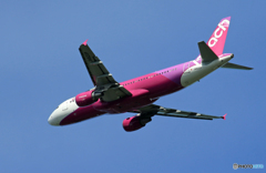 ☀「あおぞら」peach A320-214 JA820P  離陸します