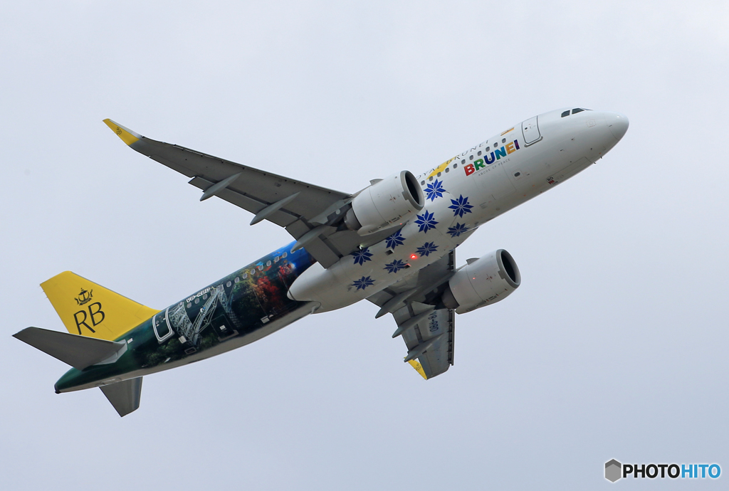 「真青の空」 ロイヤルブルネイA320-251N 特別塗装