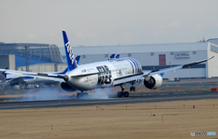 「良い天気」 ANA 787-8 JA873A [STAR WARS]