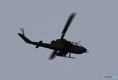 「シルエット」捉えた・ドローン化されたコブラ