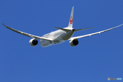 「真青の空」 Japan Airlines 787-9 JA867J 飛行