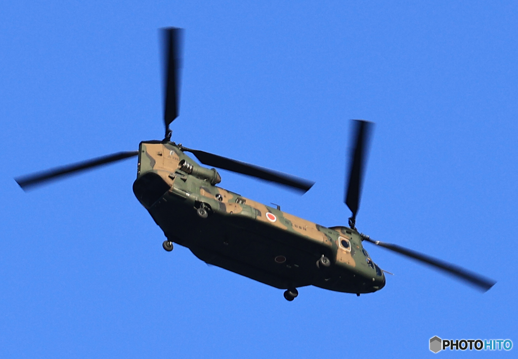 「青色」○ 日本を守る・小泉 ○