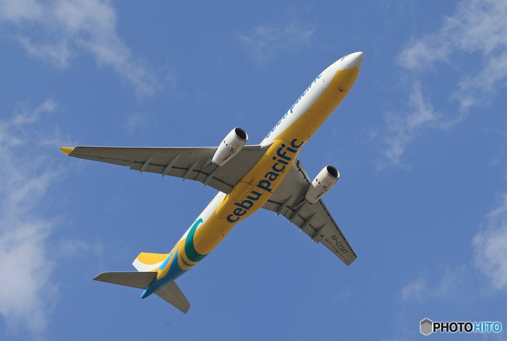 CEBU A330-343 RP-C3347  出発です