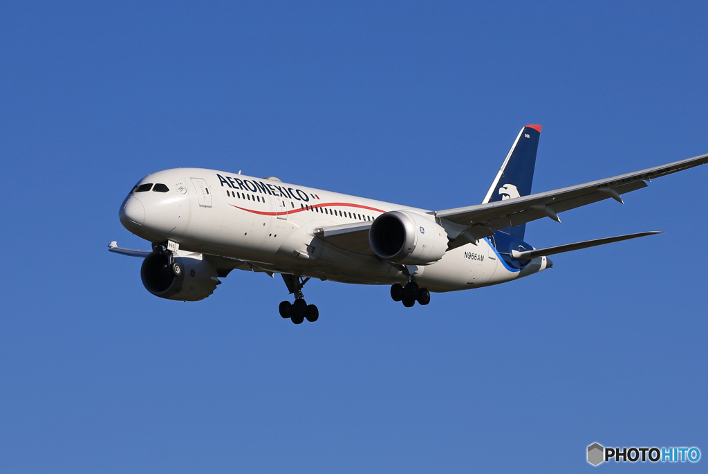 「青い日」AEROMXICO 787-8 N966AM  Landing