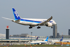 「そらー」 ANA 787-8 JA822A 来た～