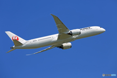「青い空」が一番☀ JAL 787-9  JA870J