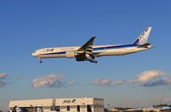 [青い空] ANA 777-381 JA780A 空港・風景
