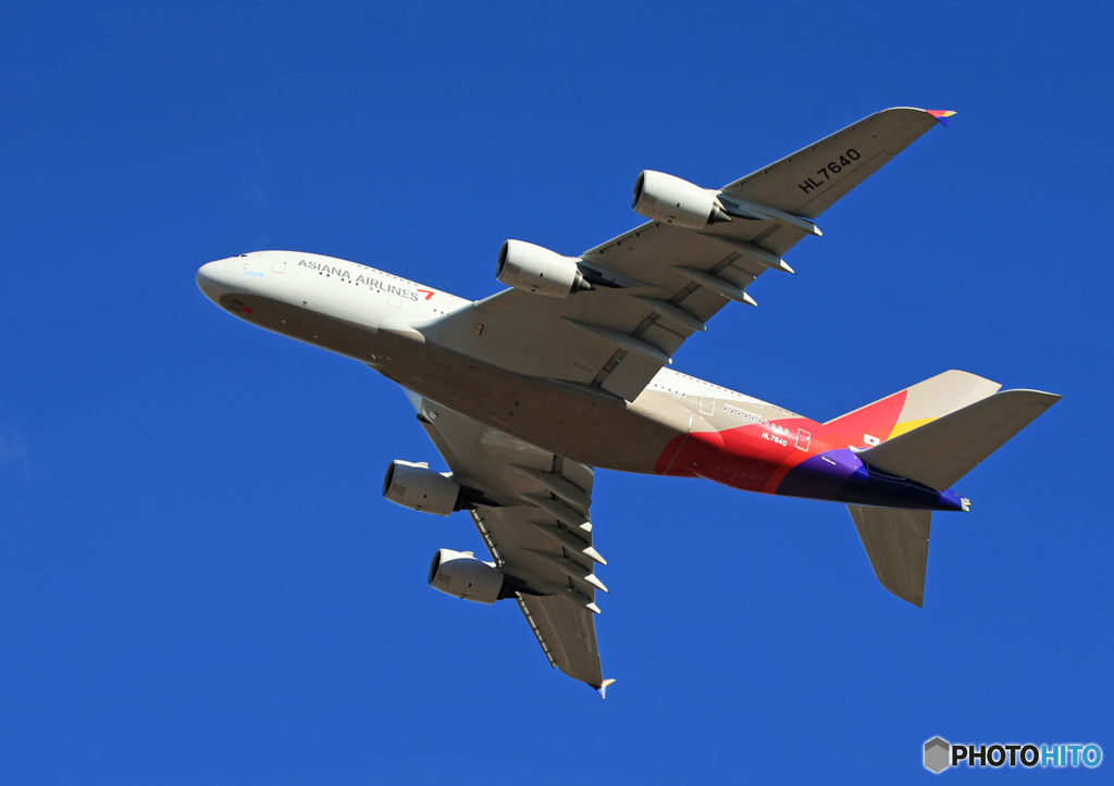 「真青の空」ASIANA A380-841 HL7640飛び立ち