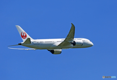 「青色」 JAL 787-8 JA840J Takeoff 