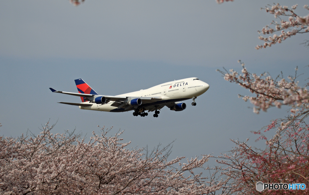 ✈あの頃のジャンボ機が懐かしいですね？