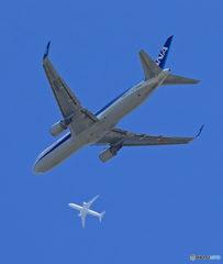 「はれ」 ANA 767-381 JA625A クロス機 Takeoff